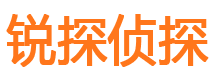 无为市调查公司